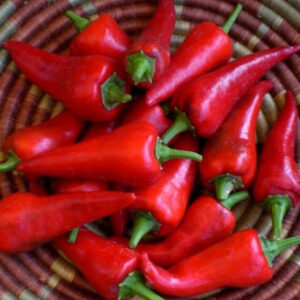 Bullet Chilli
