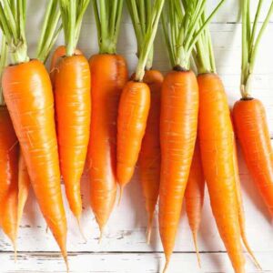 carrot