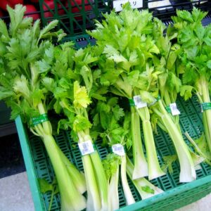 Celery