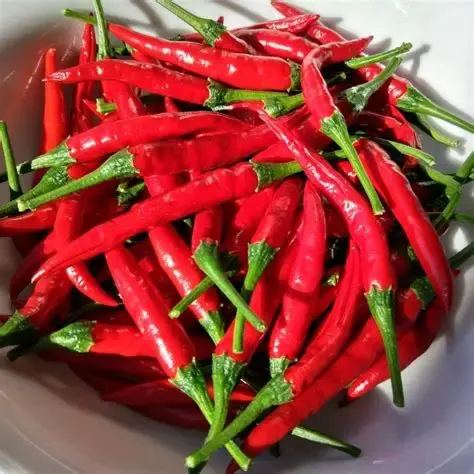 Chinese Chilli Spicy