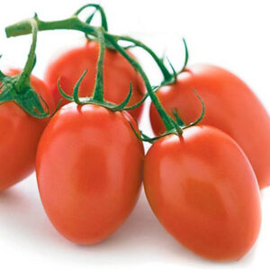 Oval tomato