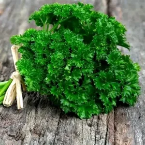 Parsley
