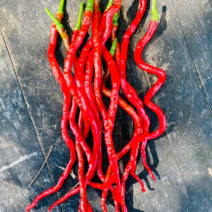 Thunder Mountain Long Chilli