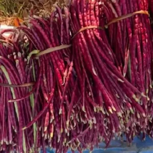 Bush pea red