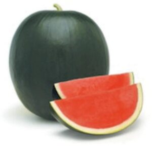 Water Melon Kiran Red